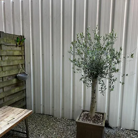 Residentie Papillon Appartement